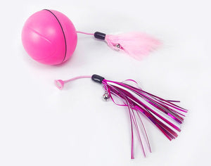 Unleash the Fun with the Pet Electric Toy Ball Laser Ball!