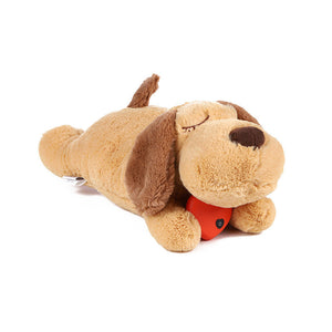 Transform Your Puppy’s Training Experience with Heartbeat Toys