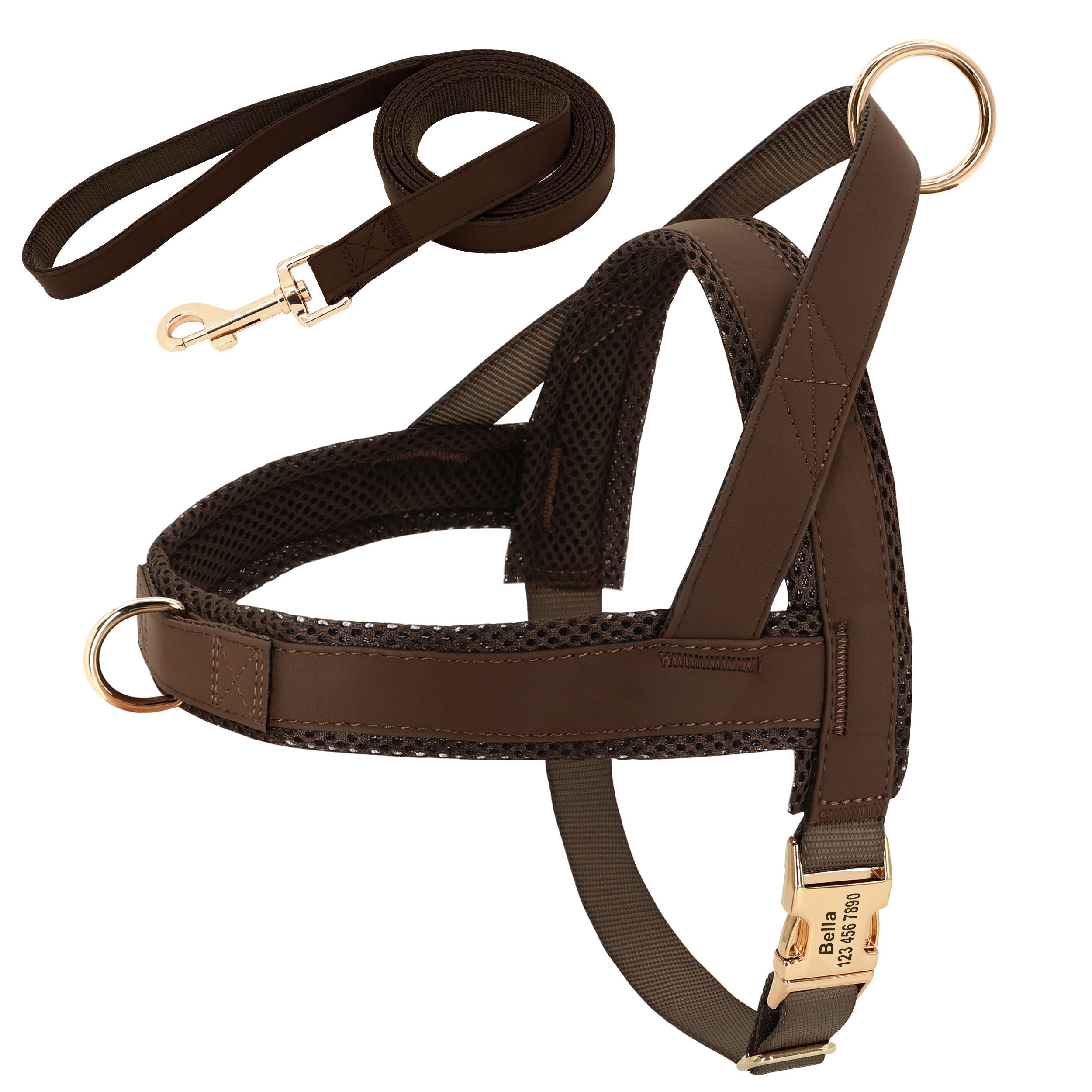 Elevate Your Pet's Style with Our Personalized Dog Harness Leash Set