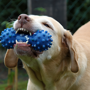 Choosing the Perfect Toy for Your Pet