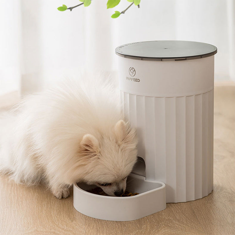 Cat Automatic Pet Feeder