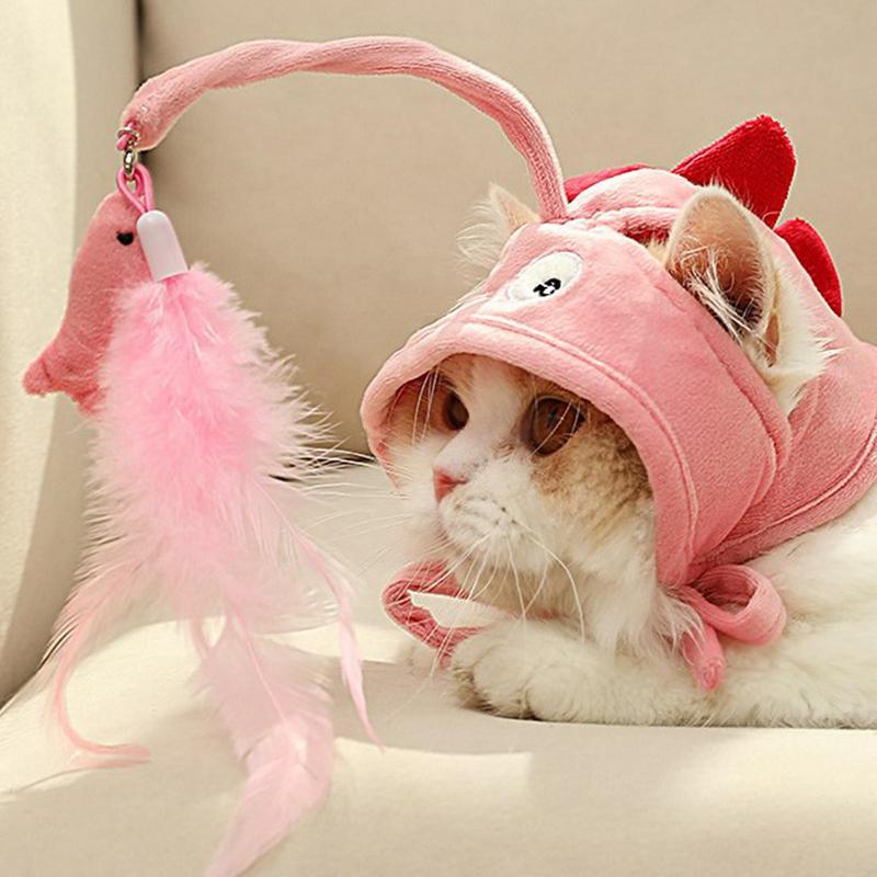 Head Wearing Feather Funny Cat