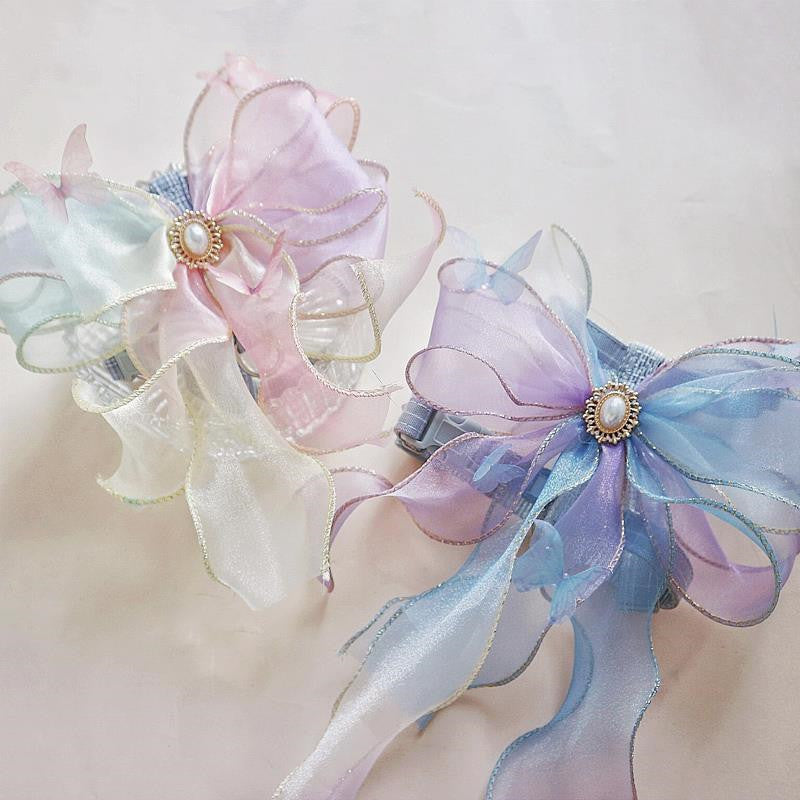 Pet Cat And Puppy Go Out Leash