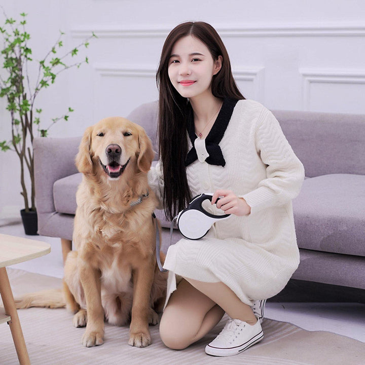 Dog Leash Chest Harness