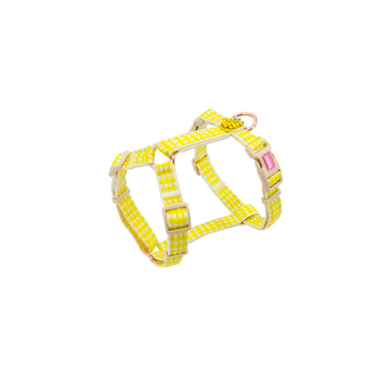 Fashionable Flower And Fruit Pastoral Lattice Pet Leash