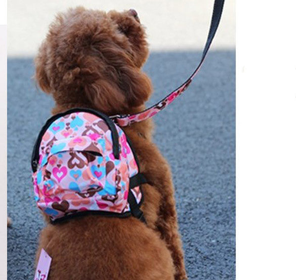 Leash for pet dog bag