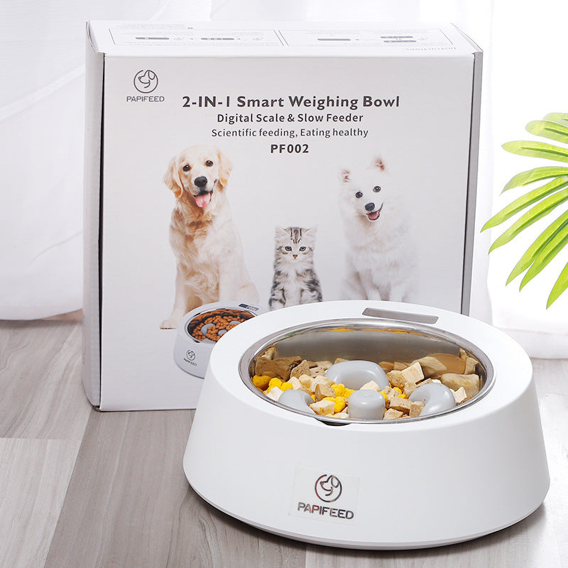 Pet Dog Bowl Slow Feeder Dog