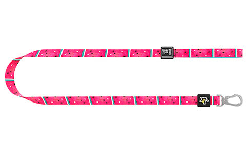 Pet cat and dog leash