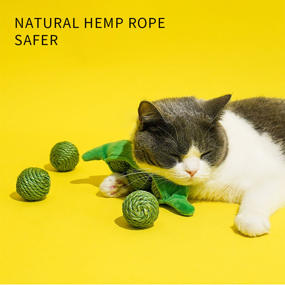 Scratching Chew Ball Toy