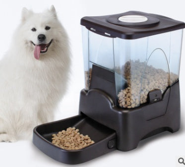 European pet automatic feeder