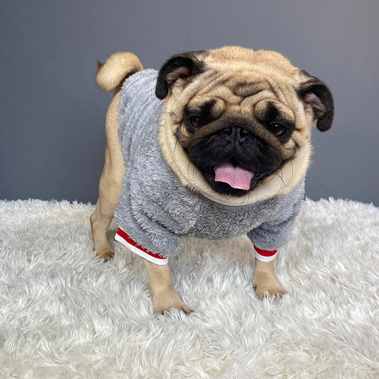 Pet Comfortable Soft Sweater