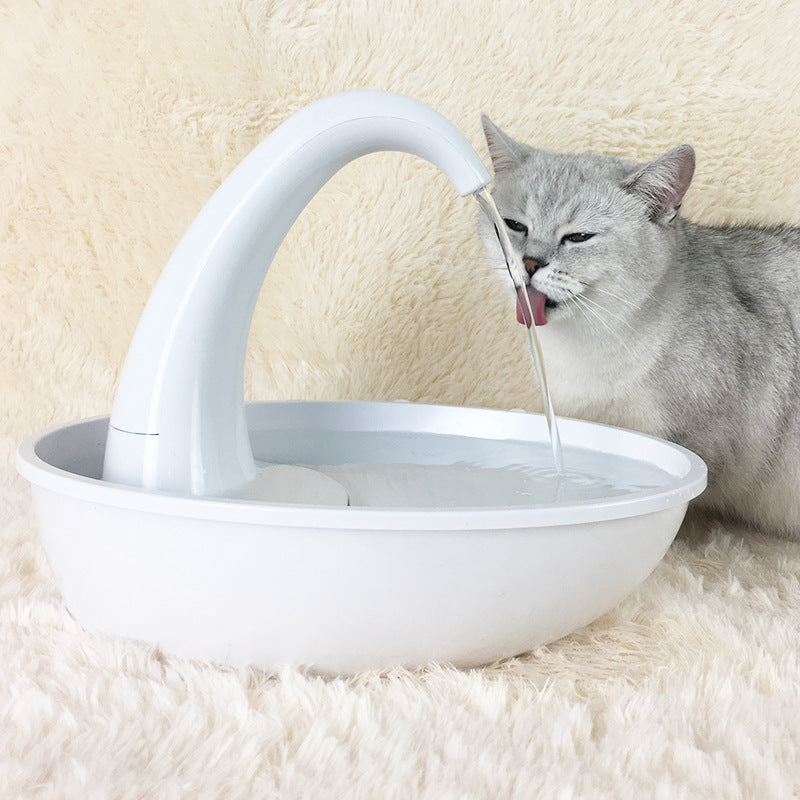 Cat Feeding Water Flowing Fountain