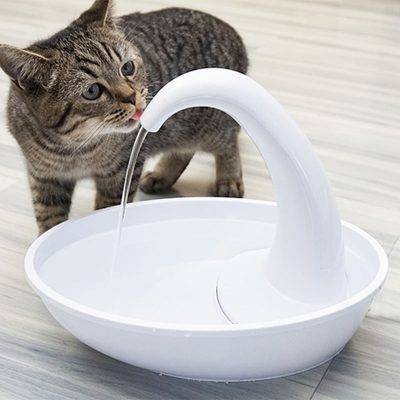 Cat Feeding Water Flowing Fountain