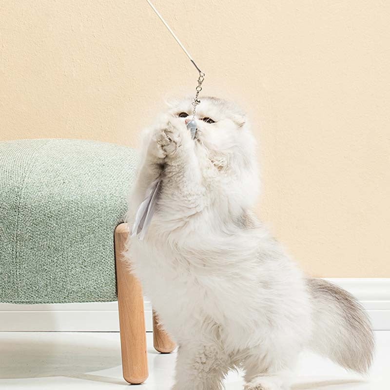 Cat Toy Laser Set Feather Stick