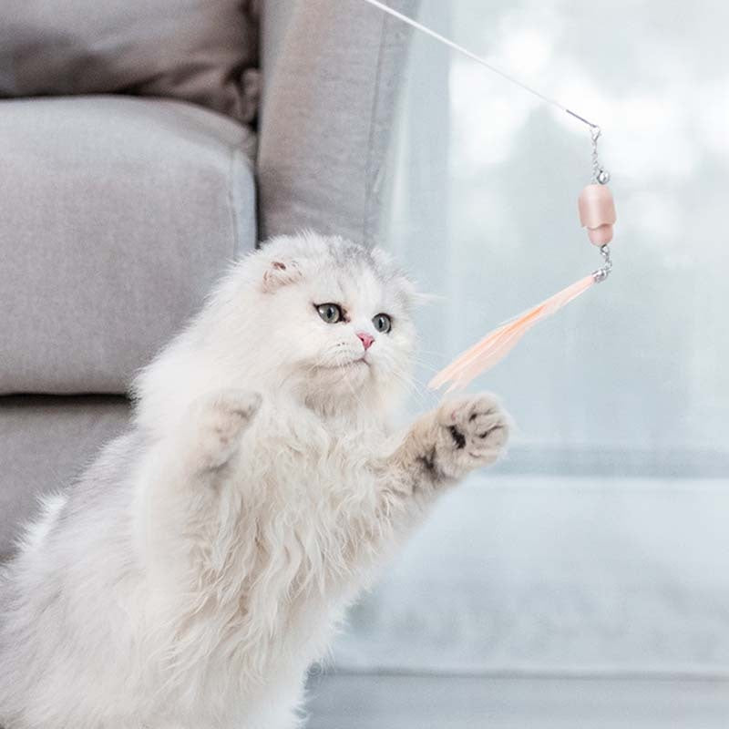 Cat Toy Laser Set Feather Stick