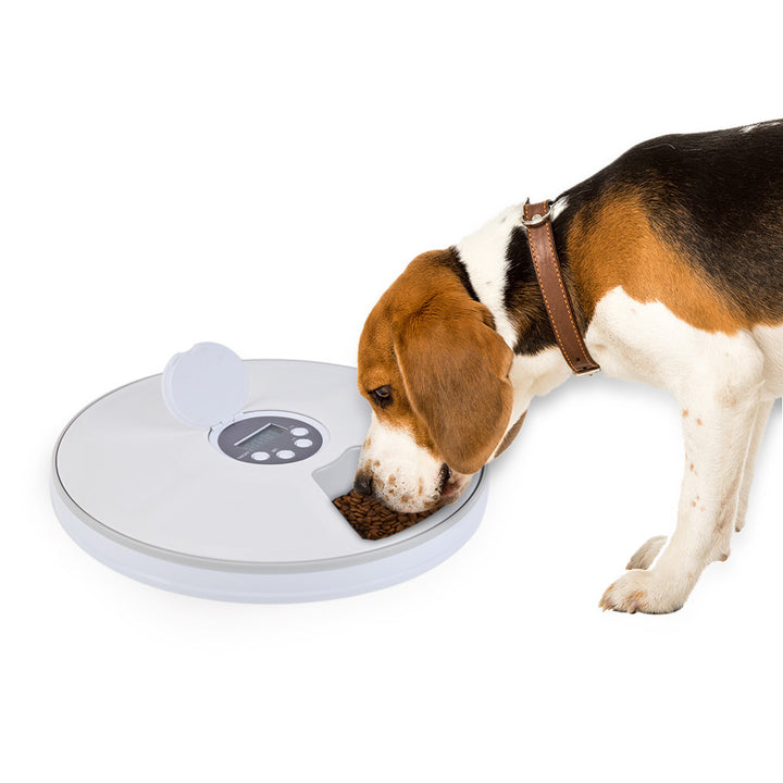 Six Grid Electric Timing Cat Feeding Machine