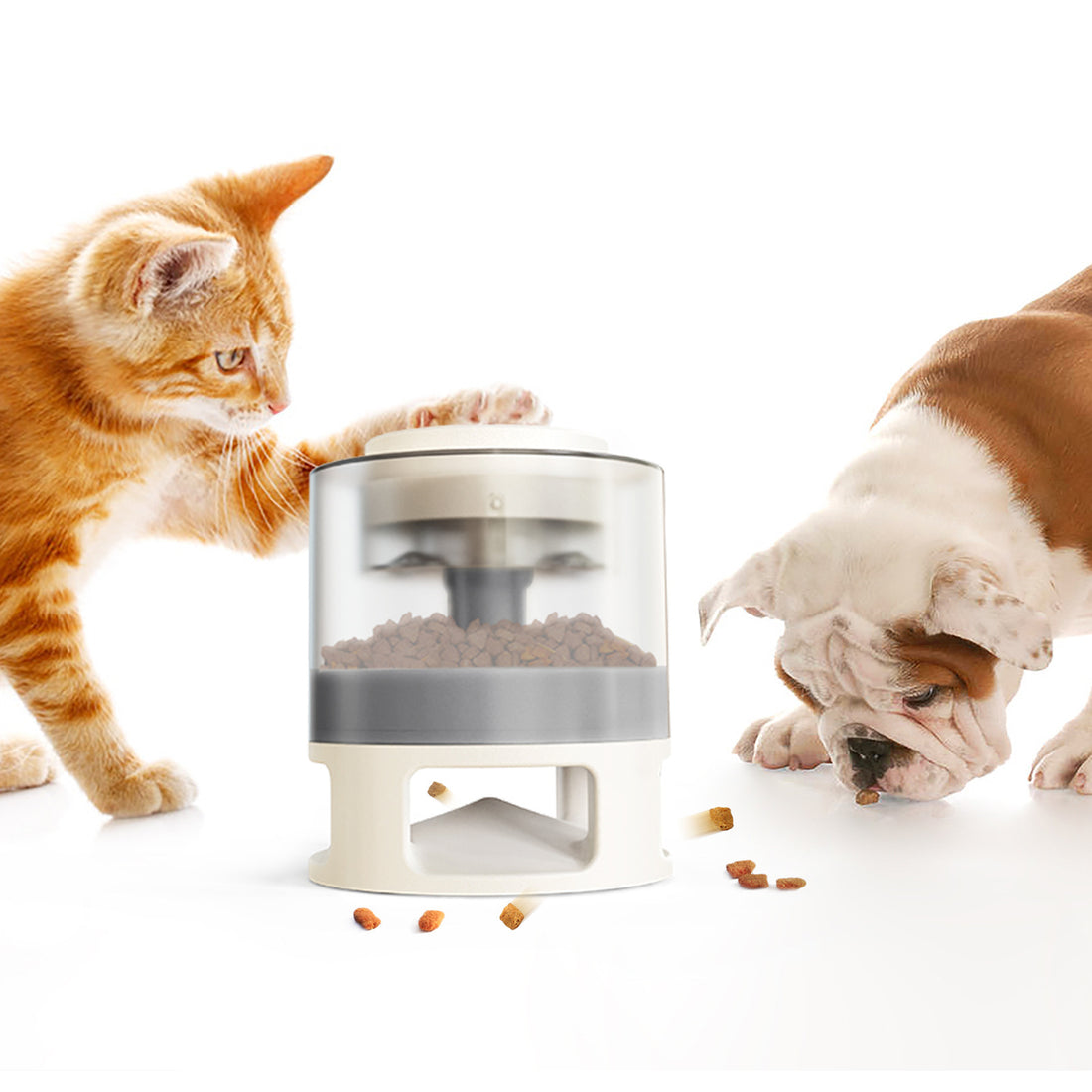 Pet Food Leaking Device
