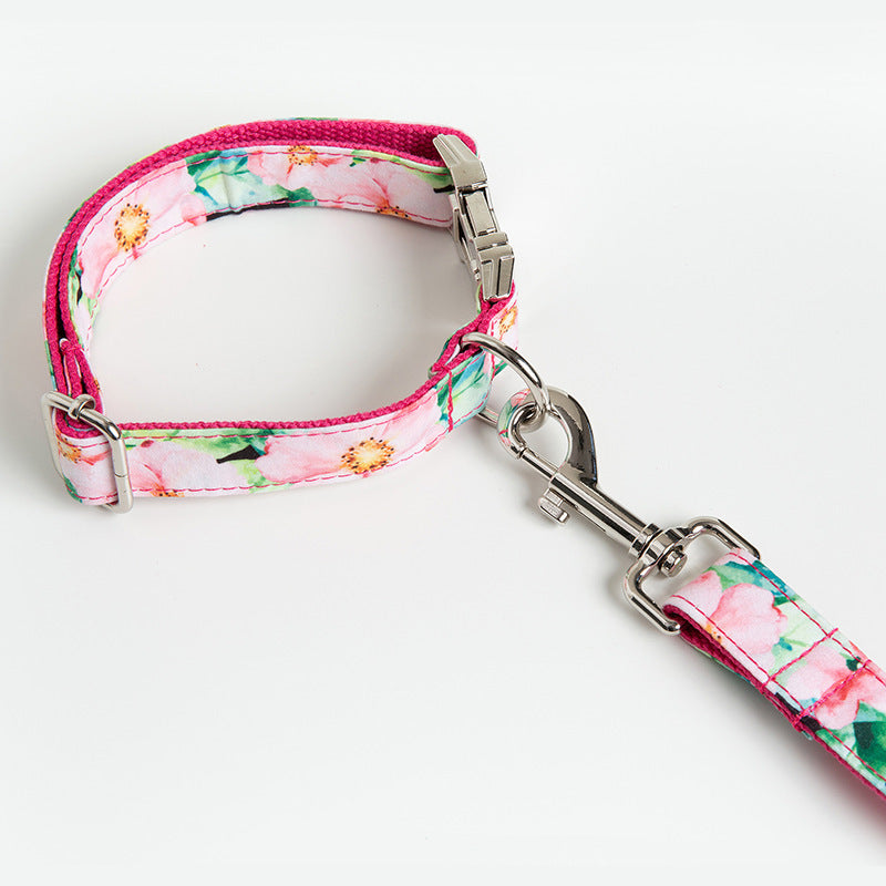 Amazon Dog Leash Pattern Set