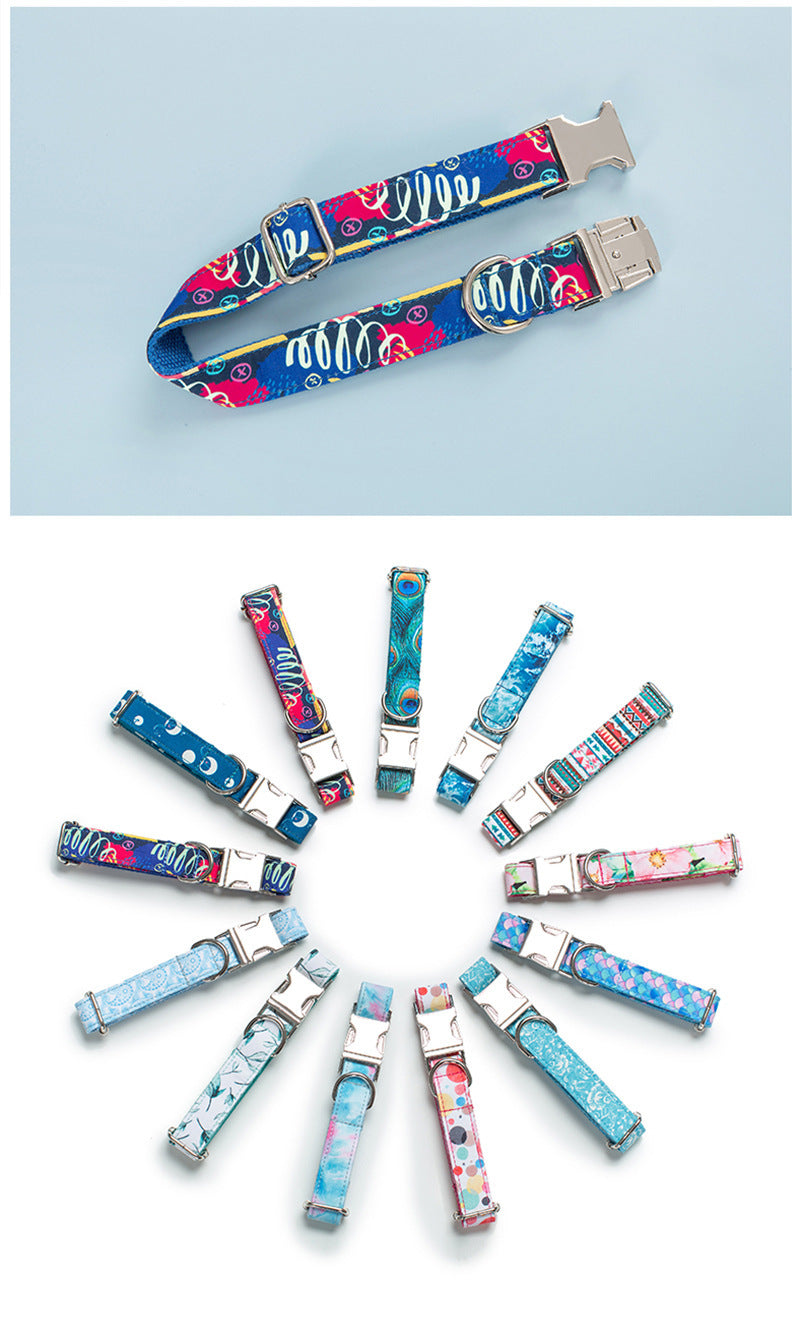 Dog Collar Pet Leash