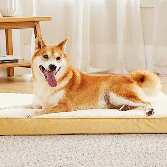 Dog Cage Mat Removable And Washable Sponge Kennel Pet Pad