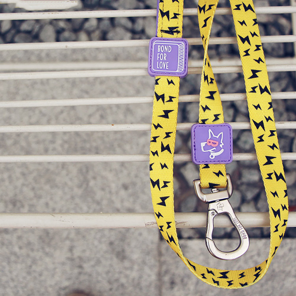 Pet cat and dog leash
