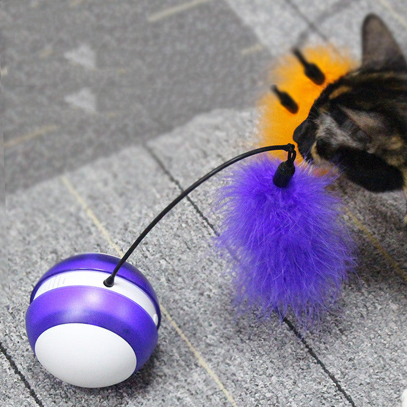 Electric random rolling funny cat toy