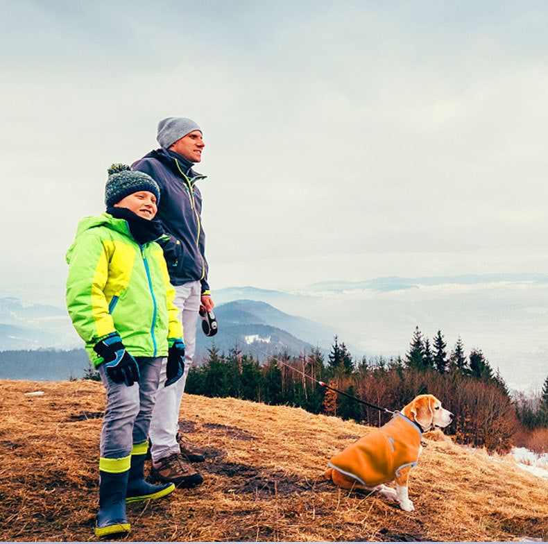 Pure Color Thick Polar Fleece Pet Sweater