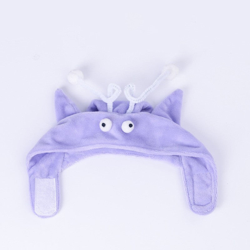 Head Wearing Feather Funny Cat