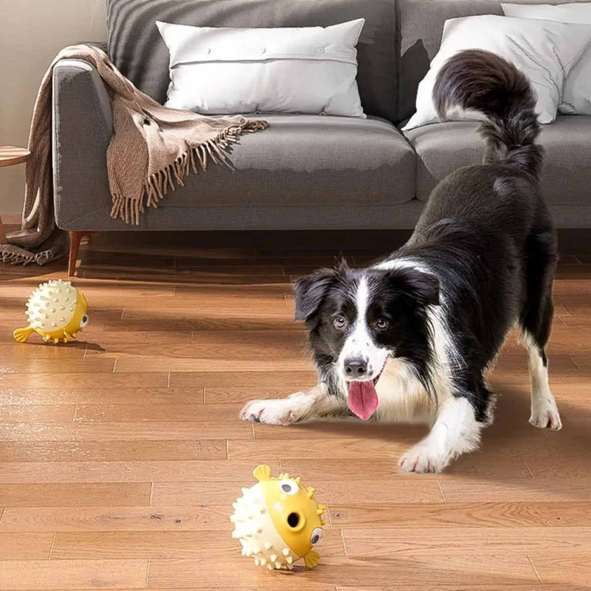 Dog Chew Toys
