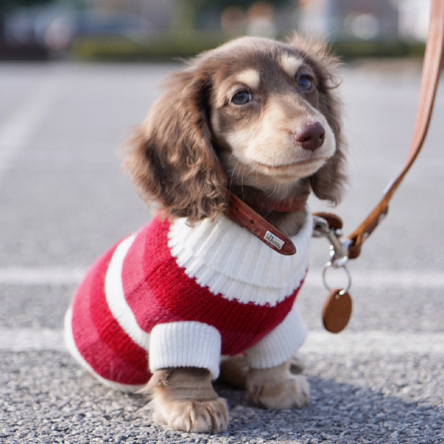 Small Dog Cat Warm Thickened Sweater