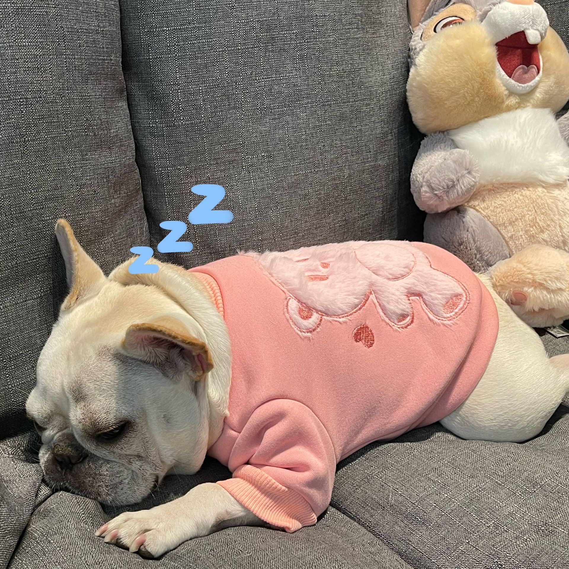 Pet Clothes Dog Plush Princess Sweater