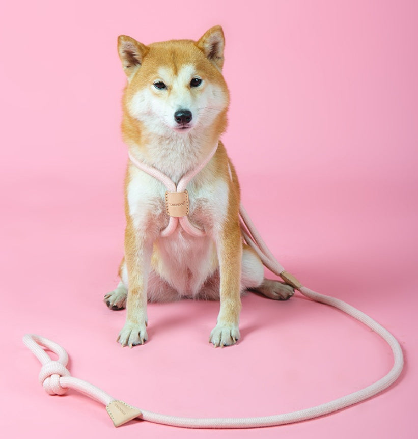 Pet Dual-purpose Integrated Round Rope Dog Leash