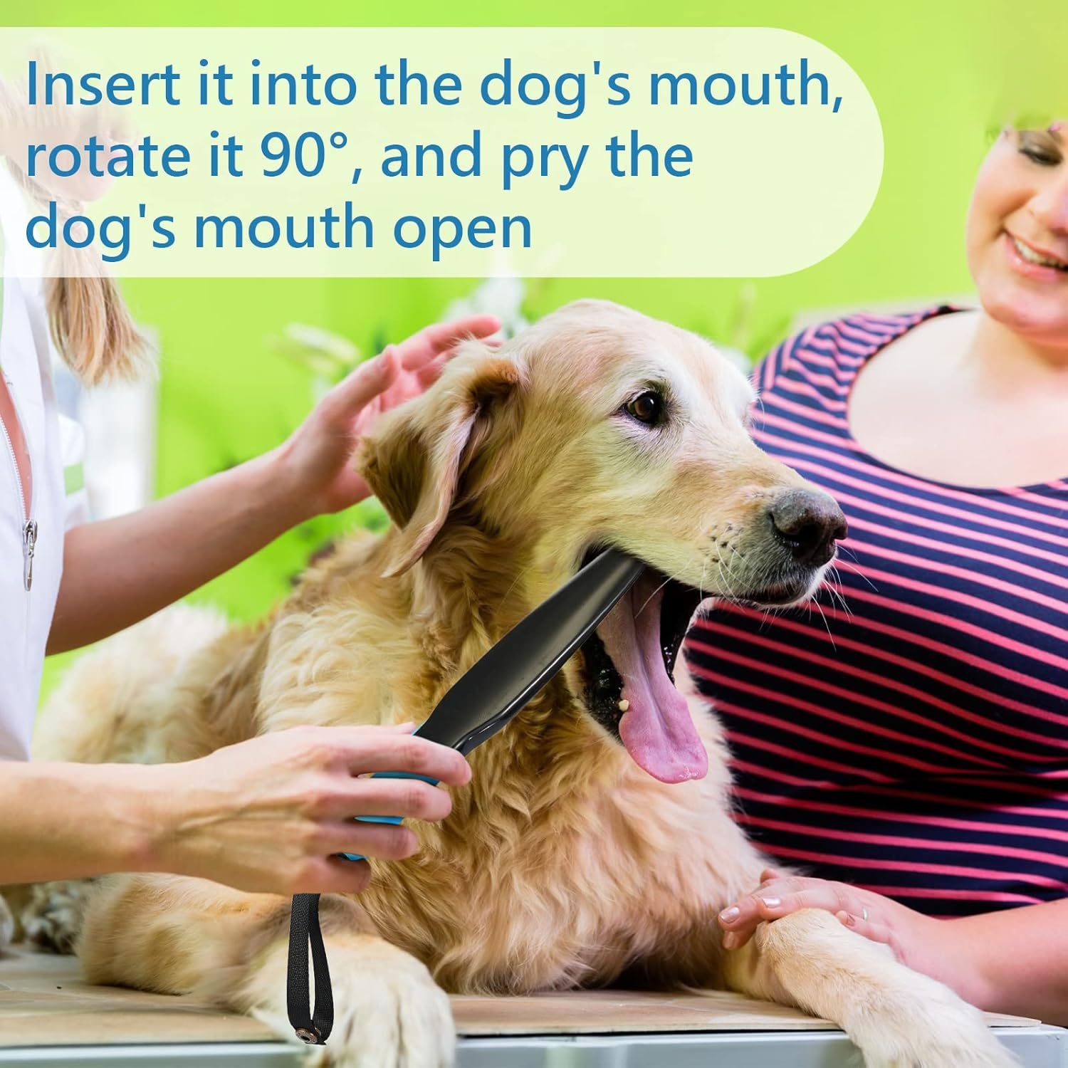 Dog Break Stick Dog No Bite Sticks Dog Bite Training Stick Pet Chew Toys For Small Medium Dogs Pet Supplies Large Dog Toy