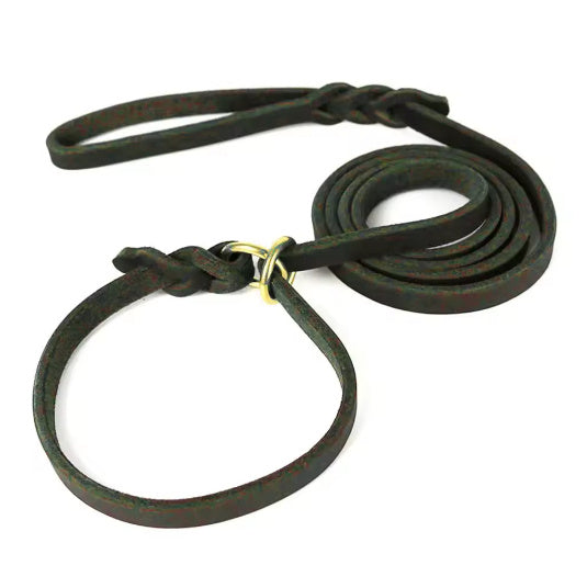 Pet Integrated Leather Hand Holding Rope Training Pet Leash