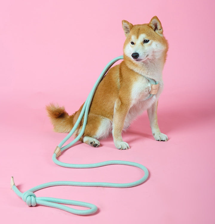 Pet Dual-purpose Integrated Round Rope Dog Leash