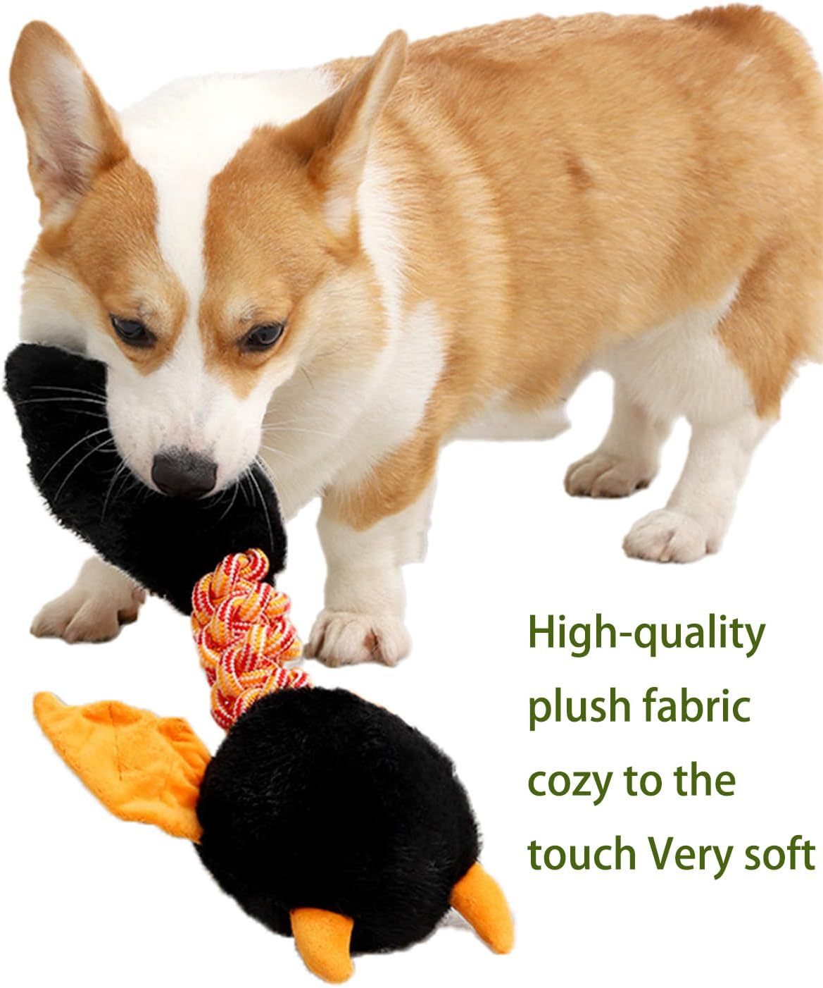 Plush Dog Toys Squeaky Dog