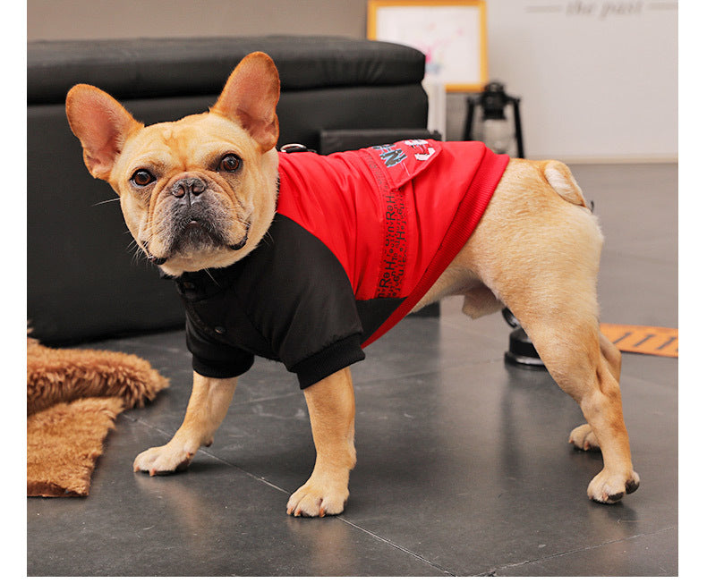 Winter Dog Padded Coat