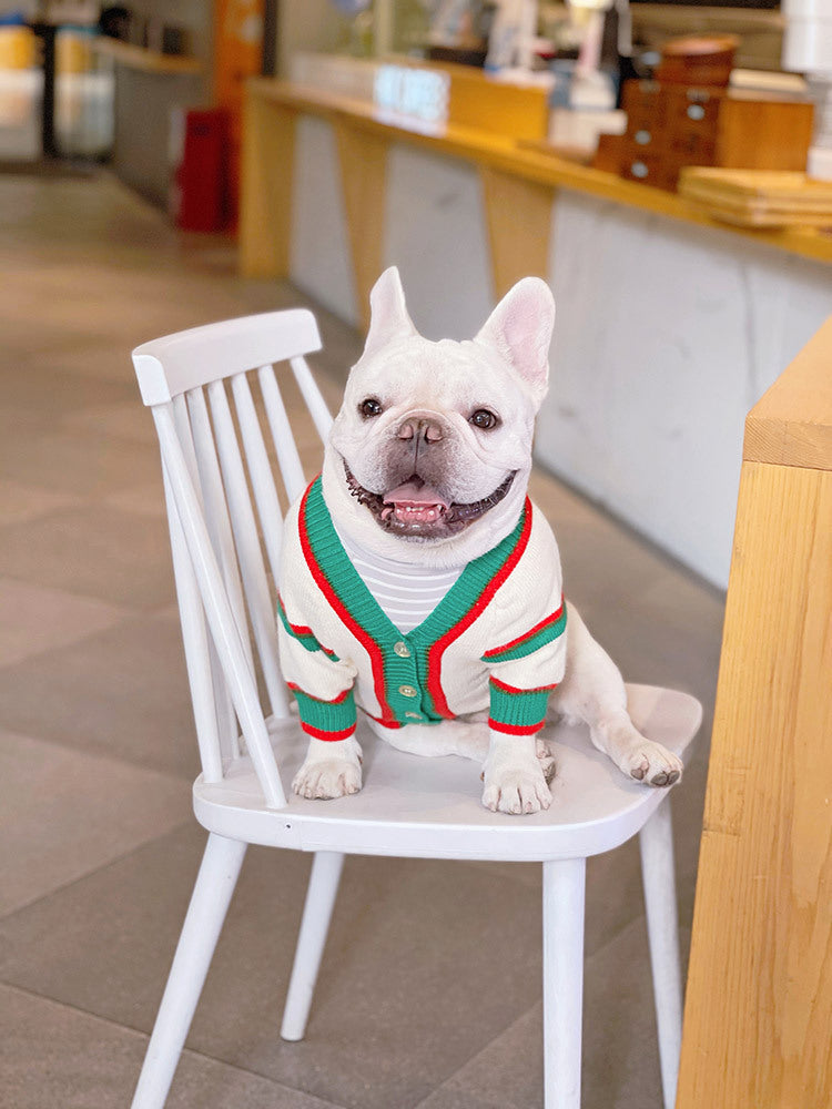 Cat And Dog Winter Pet Coat