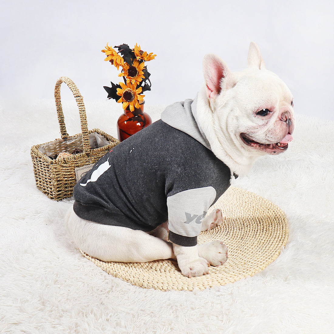 Pet Dog Fashion Sweater Two-legged Clothes