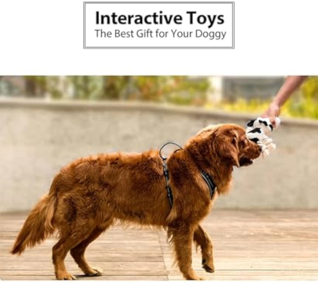 Squeaky Dog Toys Dog