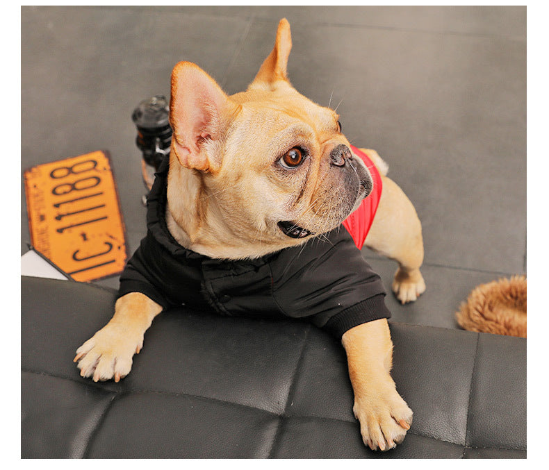 Winter Dog Padded Coat