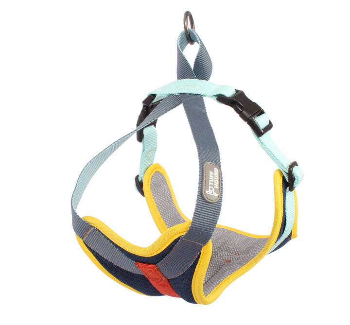 Pet chest strap dog leash