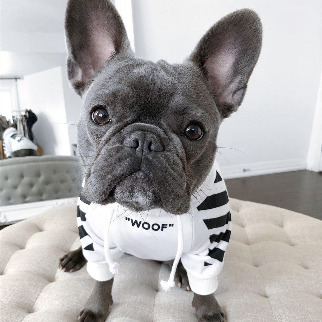 Hree-stripe dog sweater