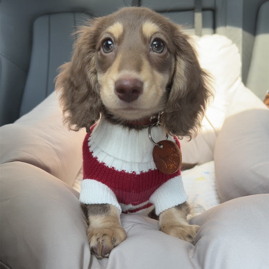 Small Dog Cat Warm Thickened Sweater