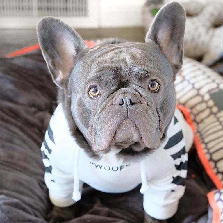 Hree-stripe dog sweater