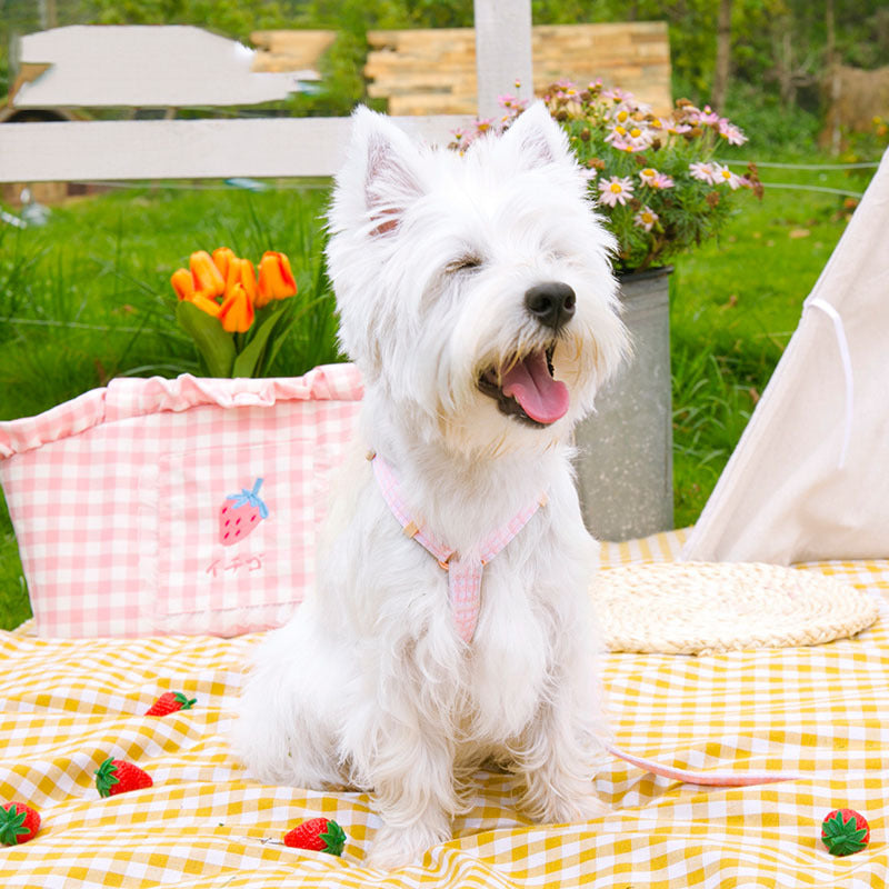 Fashionable Flower And Fruit Pastoral Lattice Pet Leash