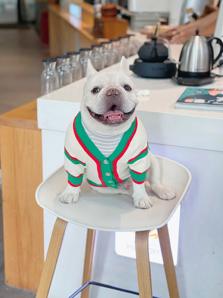 Cat And Dog Winter Pet Coat