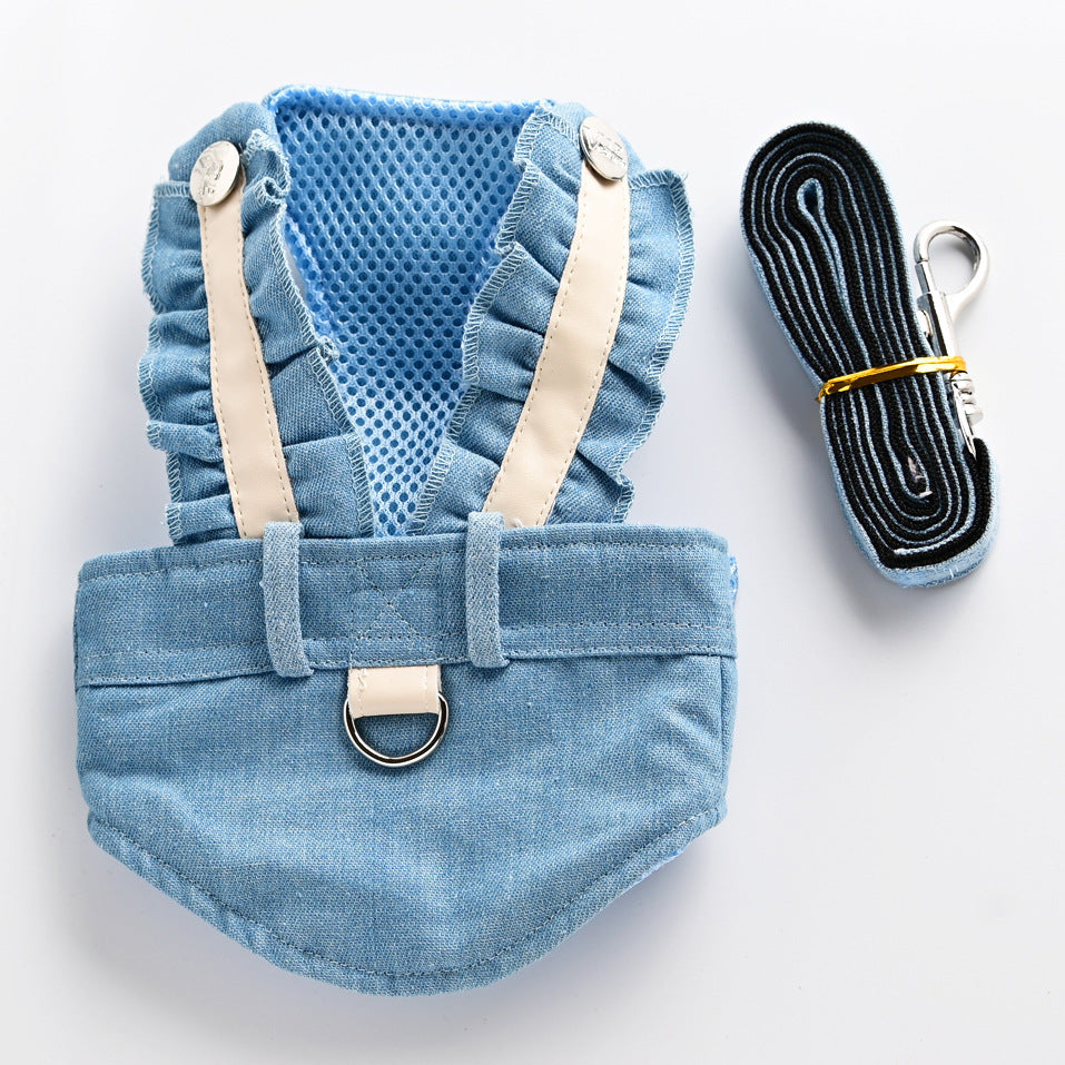 Cute Cat Walking The Dog Leash