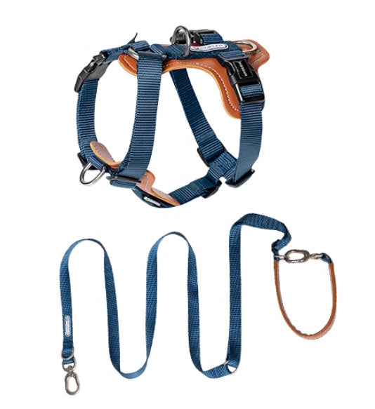Dog Rope Leash Chest Strap