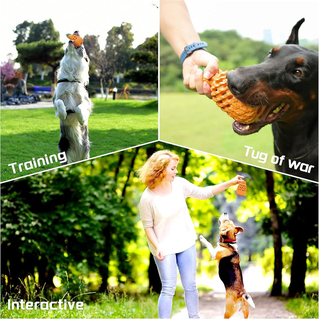 Pineapple Dog Chew Toys